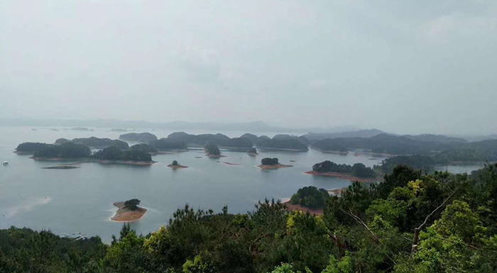 風(fēng)雨同舟毅路共行-歐感科技團(tuán)隊(duì)春游記